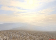 接纳的四个层面