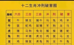 一张图看懂十二生肖六*合、三合、冲刑破害！