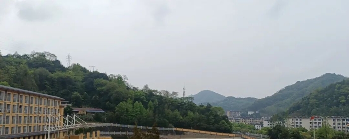 青少年自杀的成因与预防