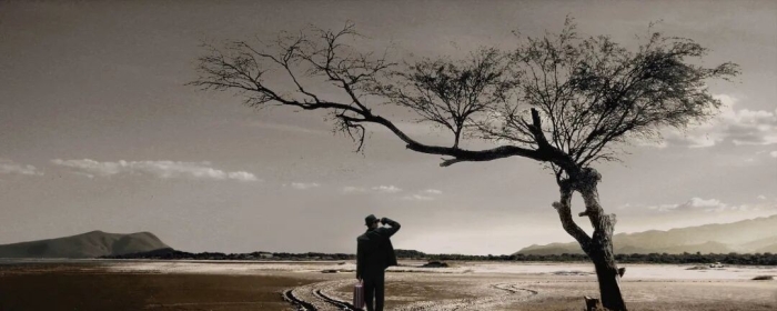 荣格与佛洛依德友谊的彻底决裂（转载）