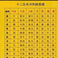 一张图看懂十二生肖六*合、三合、冲刑破害！