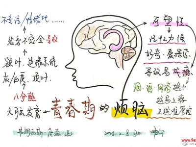 青春期的孩子为什么“难管”？