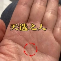 这种手纹怎么样？