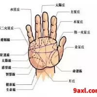 断掌意味着什么