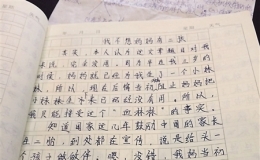 小学生写作文告诫一定要阻止父母生二孩！