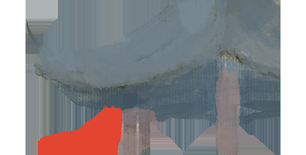 学写作｜写出人物特点