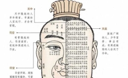 面相学基础知识