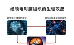 奥博甄选调理脑神经_神经衰弱的征兆