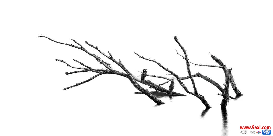 吃抗焦虑抑郁药物-11周-被病毒扰动