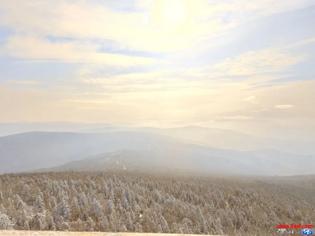 接纳的四个层面