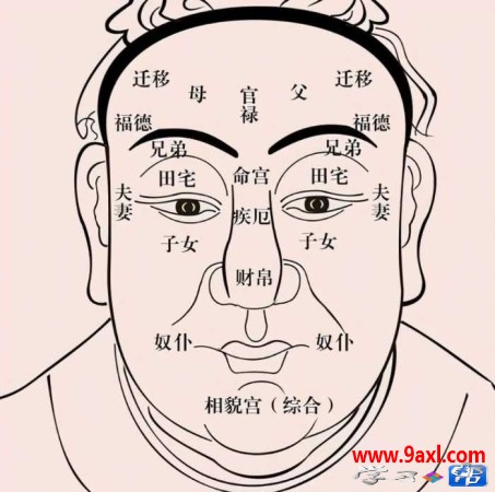 面相识人之额头剖析
