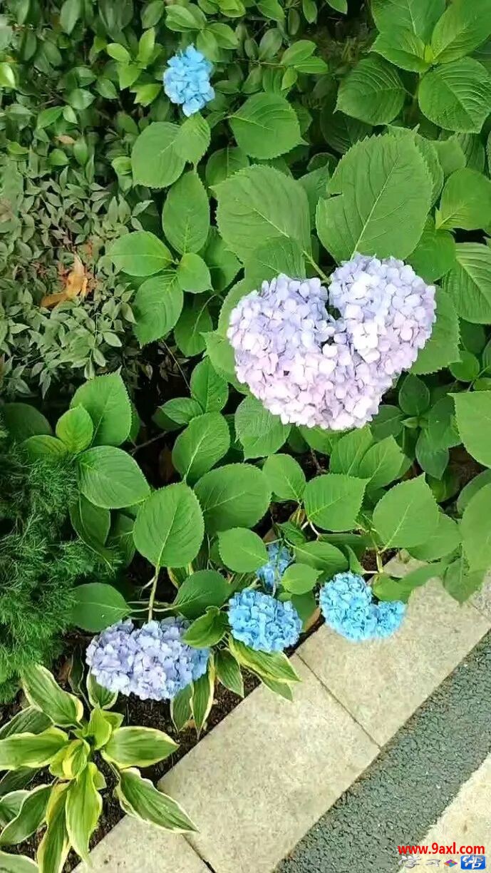 缓解高考前焦虑小技巧